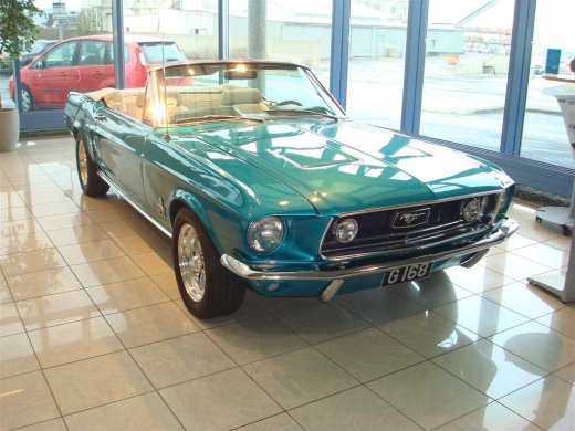 18.04.229_005__large_