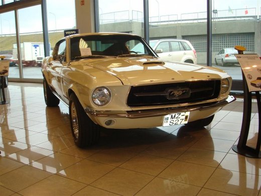 18.04.229_035__large_