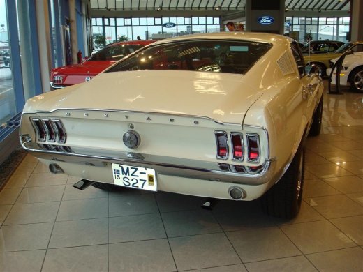 18.04.229_036__large_