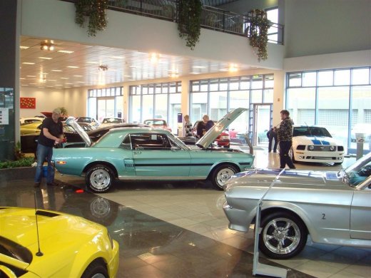 18.04.229_059__large_