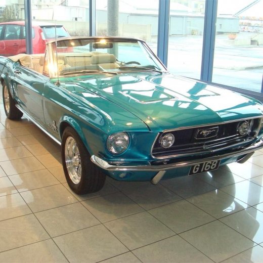 crop-18.04.229_005__large_