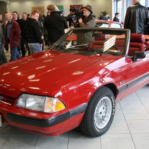 crop-img_2544__large_