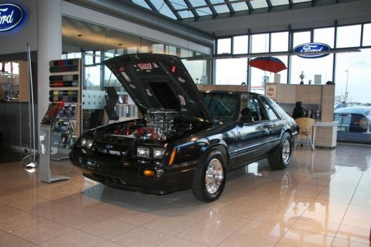 16.04.2011_001__large_