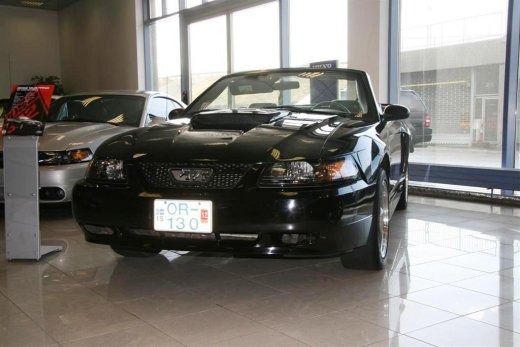 16.04.2011_033__large_