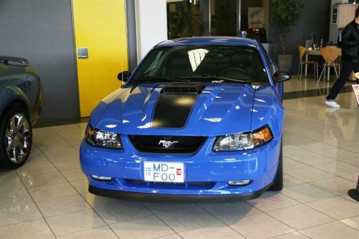 16.04.2011_034__large_