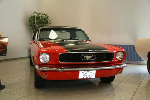 16.04.2011_043__large_