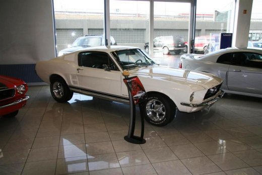 16.04.2011_044__large_