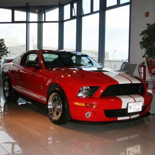 crop-16.04.2011_002__large_