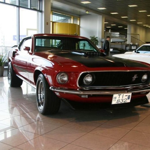 crop-16.04.2011_003__large_