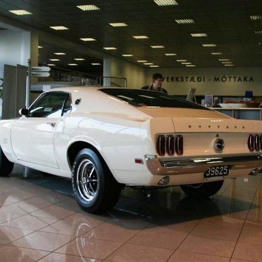 crop-16.04.2011_004__large_