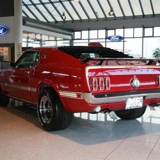 crop-16.04.2011_006__large_