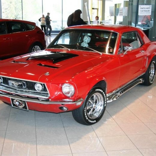 crop-16.04.2011_019__large_