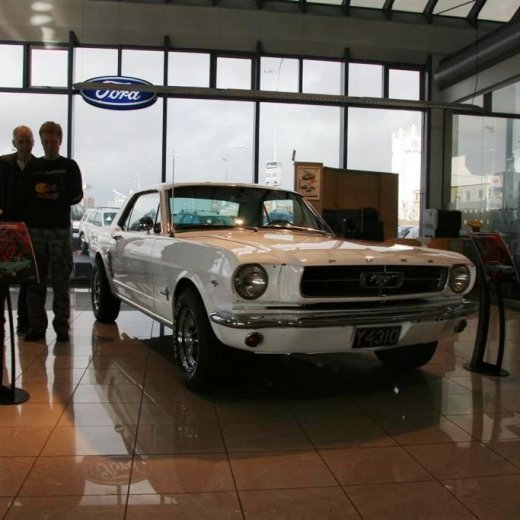 crop-16.04.2011_020__large_