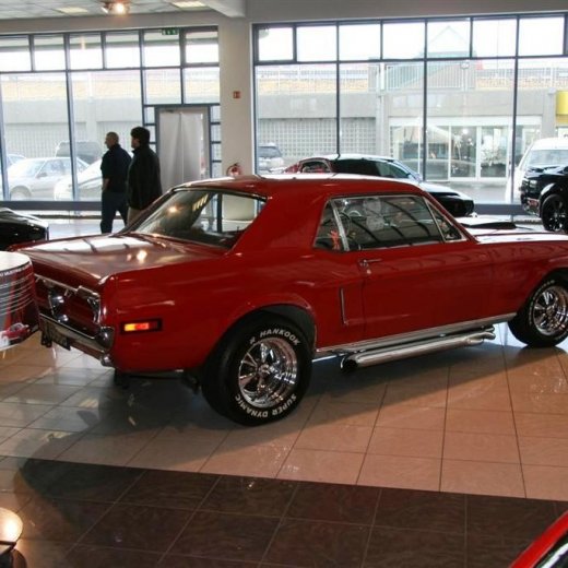 crop-16.04.2011_025__large_