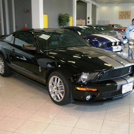 crop-16.04.2011_026__large_