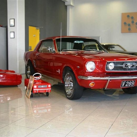 crop-16.04.2011_036__large_