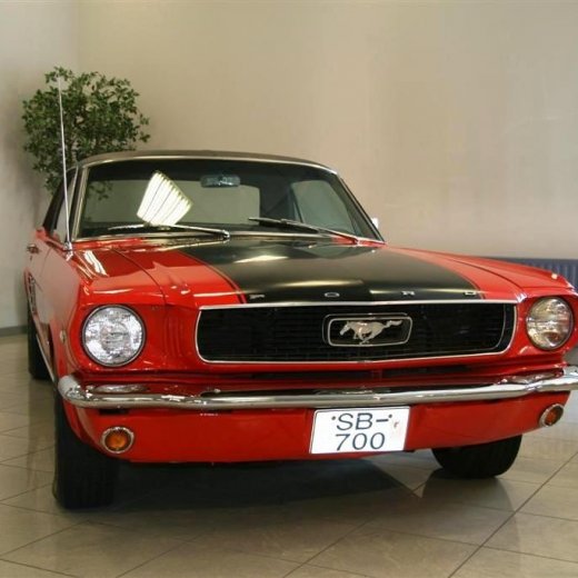 crop-16.04.2011_043__large_