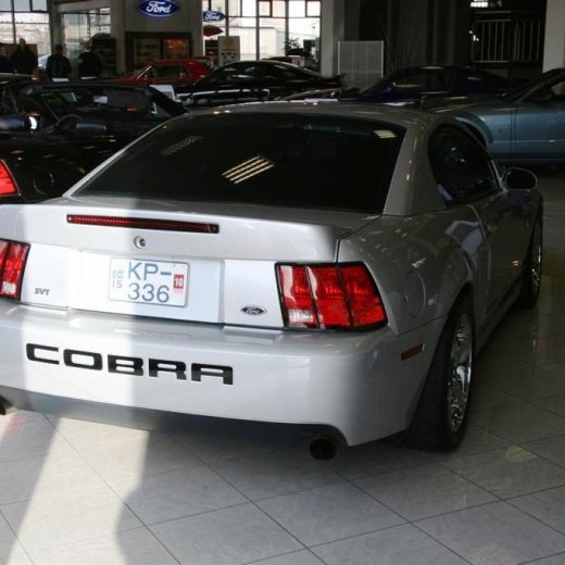 crop-16.04.2011_047__large_