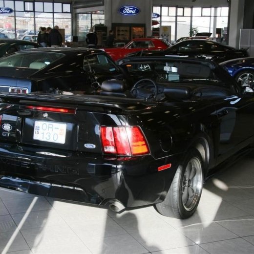 crop-16.04.2011_048__large_