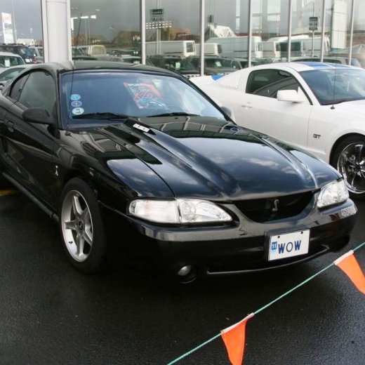 crop-16.04.2011_059__large_