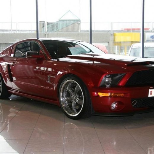 crop-16.04.2011_071__large_