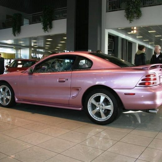 crop-16.04.2011_079__large_