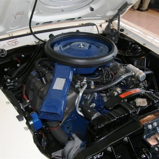 crop-16.04.2011_082__large_