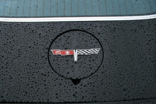 img_1767__large___large_