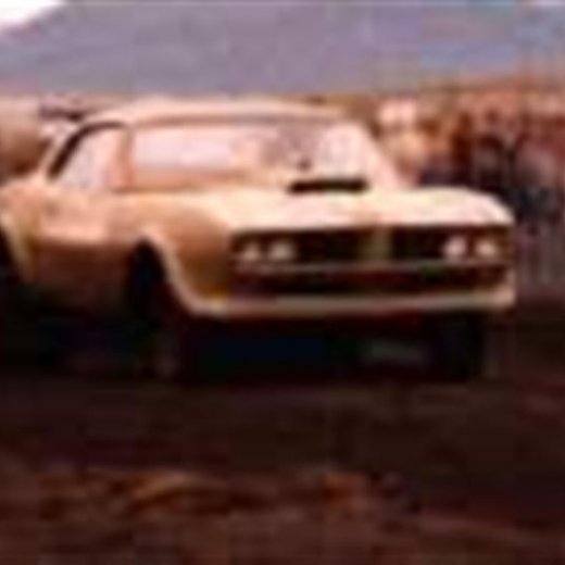 crop-bragibird__large_