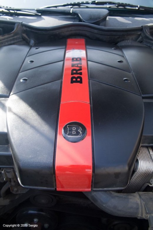 3881975335_163a1565ab_o