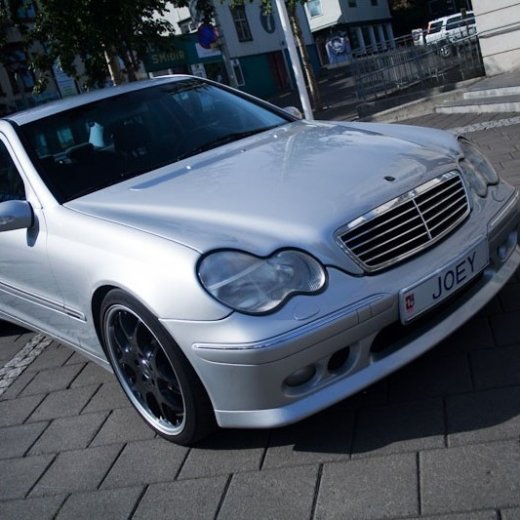 crop-3882771408_dde1859560_o