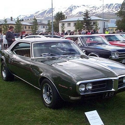 crop-17959423.untitled10__large_