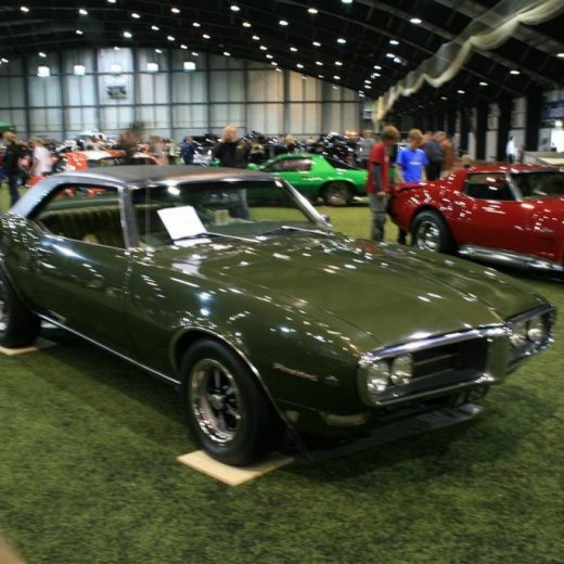 crop-biggipe_014__large_