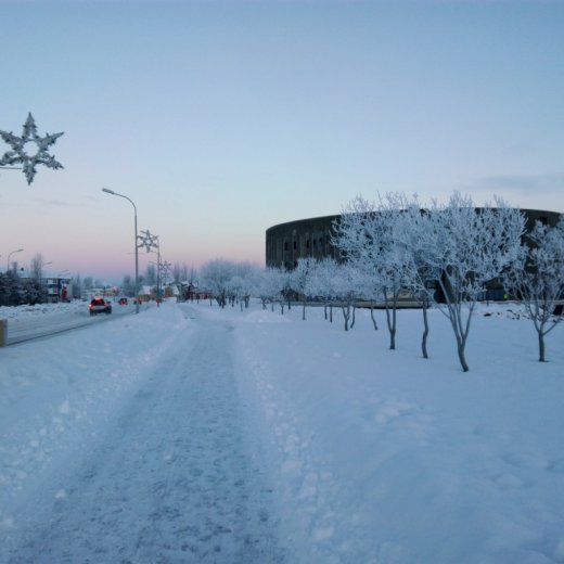 crop-img_20151212_114147