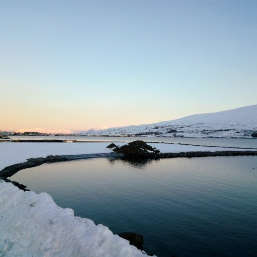 crop-img_20151216_123451