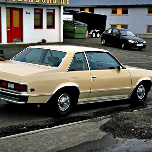 crop-mark7360_edited-1