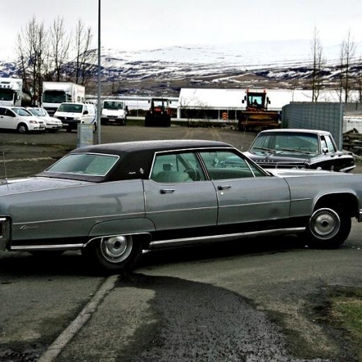 crop-mark7361_edited-1