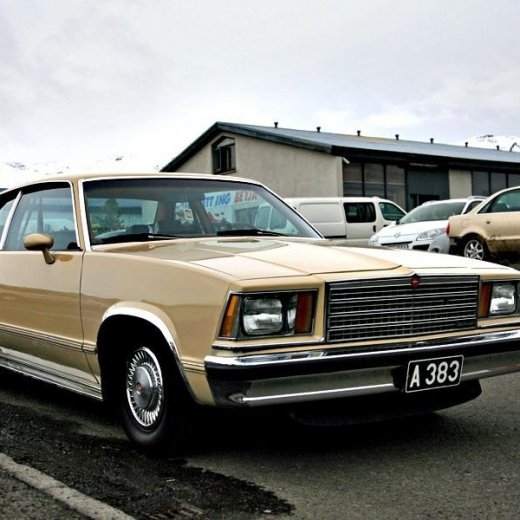 crop-mark7362_edited-1