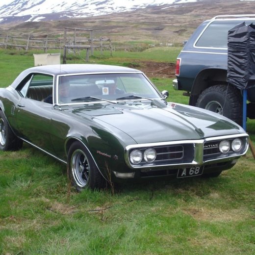 crop-28.05__3___large_