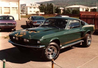 shelby1