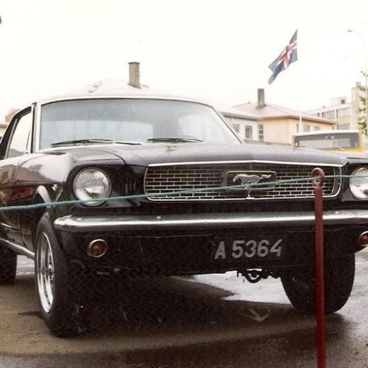 crop-17.06.1980_026__medium_