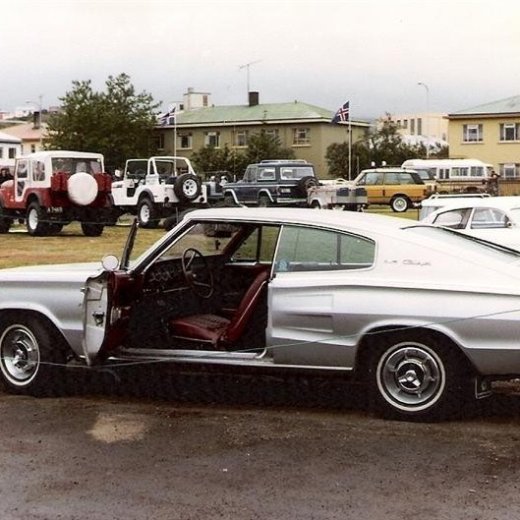 crop-17.06.1980_051__medium_