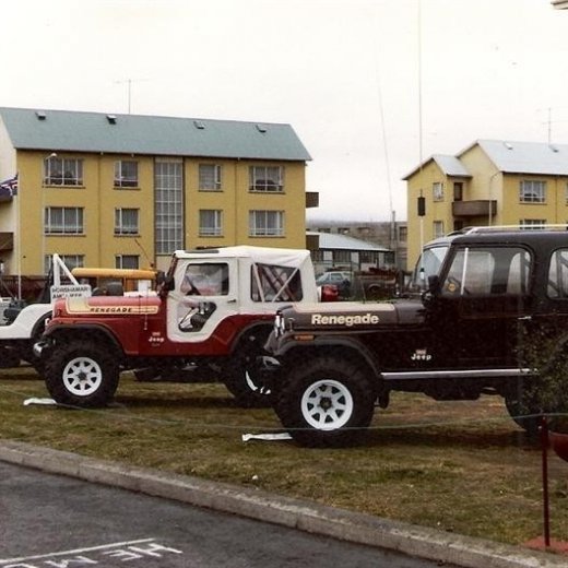 crop-17.06.1980_071__medium_