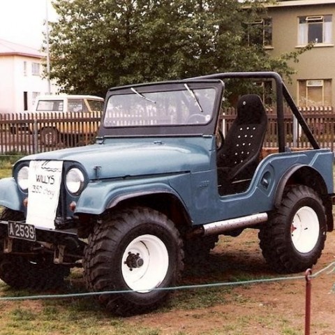 crop-17.06.1980_063__medium_