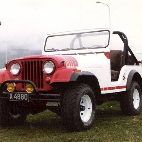 crop-17.06.1980_066__medium_