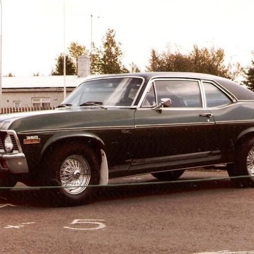 crop-17.06.1981_003__medium_