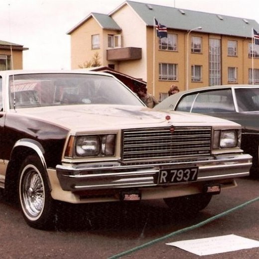 crop-17.06.1981_025__medium_