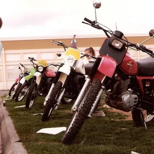 crop-17.06.1981_034__medium_