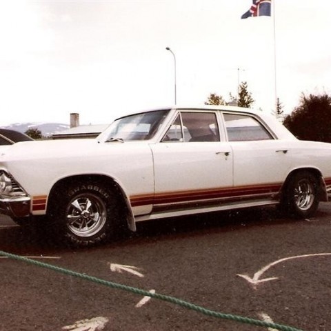 crop-17.06.1981_005__medium_