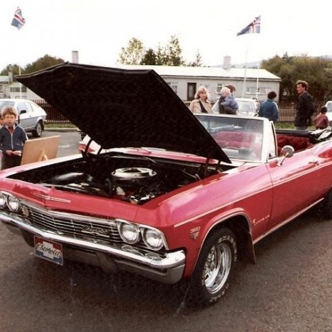 crop-17.06.1981_019__medium_